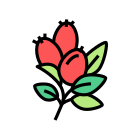 Rosehip icon