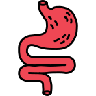 Gastrointestinal Tract icon