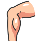 Anatomy icon