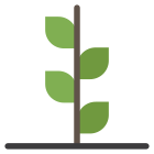 Plant icon