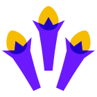 гвоздика icon