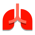 Lungs icon