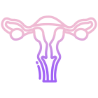 Uterus icon