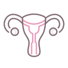 Uterus icon