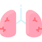 Pulmones icon