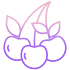 Berry icon