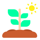 Plante sous le soleil icon
