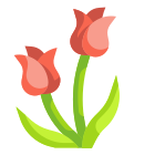 Tulip icon