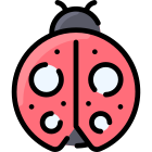 Ladybug icon