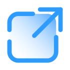 External Link icon