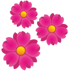 внешняя-флора-цветные-цветы-плоские-значки-inmotus-design-2 icon