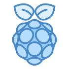 Raspberry Pi icon