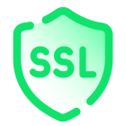 SSL icon