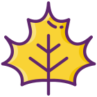 Maple Leaf icon