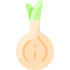 Cebolla icon