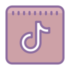 的TikTok icon