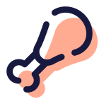 Poultry Leg icon