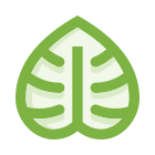 Leaf icon