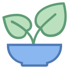 Healthy Food icon