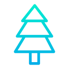 Pine Tree icon