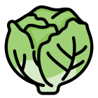 Lettuce icon