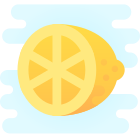 Citrus icon