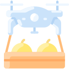 Drone icon