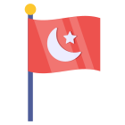 Pakistan Flag icon