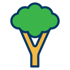 Brocoli icon