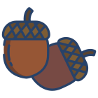 Acorn icon