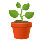 Potted Plant Emoji icon