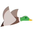 Flying Duck icon