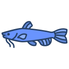 Cat Fish icon