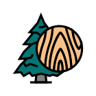 Fir icon