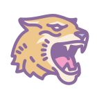 RIT Tiger icon