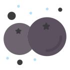 Blueberry icon