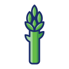 Spargel icon