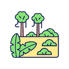 types de terres-de-forêt-tropicale-externes-icônes-de-couleur-remplies-papa-vecteur icon