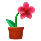 Orchid icon