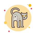 Katze Hintern icon