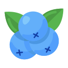 Blueberries icon