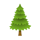 arbre à feuilles persistantes icon