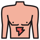 Stomach icon