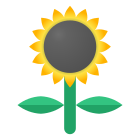 Sunflower icon