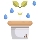 太陽の下の植物 icon