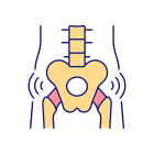 Pelvis icon