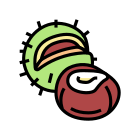 Chestnut icon