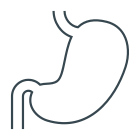 Anatomy icon