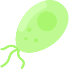 Bacteria icon