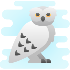 hedwig icon